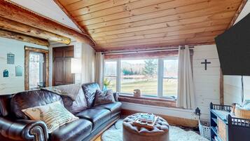 TV, fireplace, books