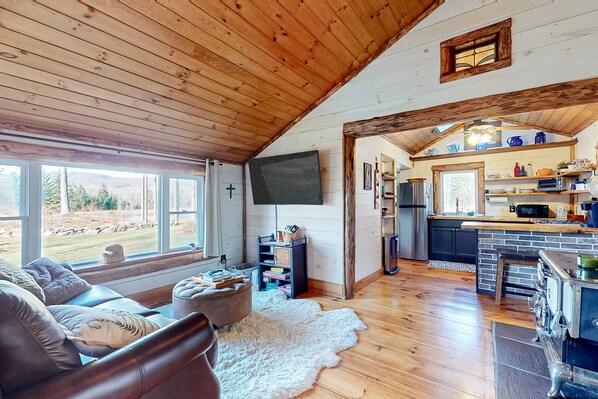 TV, fireplace, books