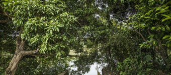 Nadhiyoram River Retreat by Maat Hotels