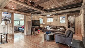 Televisor intel·ligent, llar de foc, reproductor de DVD i llibres