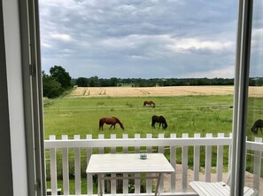 Interior - Apartment 'Ferienwohnung Traumblick' with Balcony and Wi-Fi (Reesdorf)