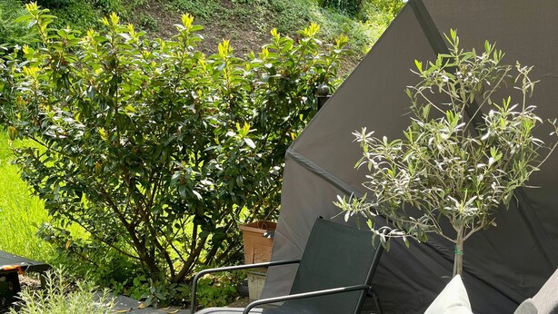 Un espacio al aire libre con mesa, sillas y una carpa.