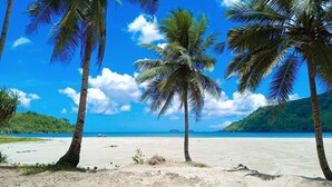 A beach with palm trees and a clear blue sky. - Zhaya's Beach and Cottages (El Nido)