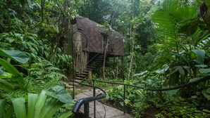 A wooden staircase leading to a rustic house surrounded by dense tropical foliage. -  Sacred Beji by GenuineHost (Payangan)