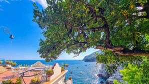 Un balcón con plantas en macetas, vistas al mar y un litoral rocoso.