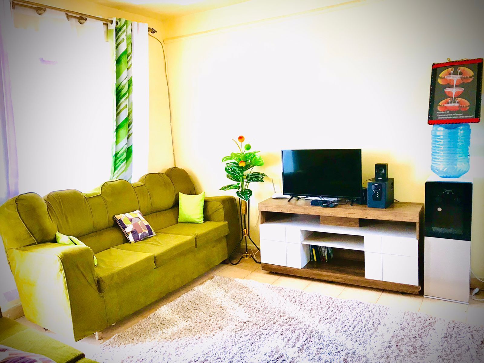 A living room with a green sofa, a flat-screen TV, a small speaker, and a decorative plant.