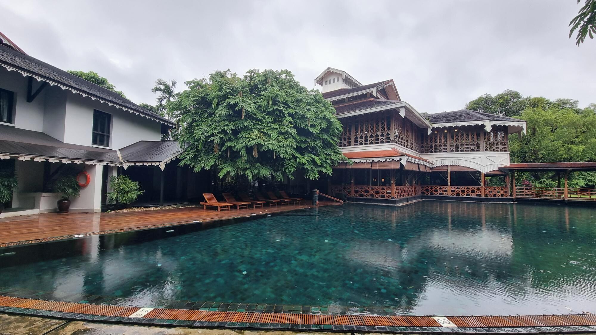 Zona de piscina con terraza de madera y sillas de descanso, rodeada por un árbol grande y un edificio de arquitectura tradicional.