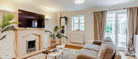 TV, fireplace, books
