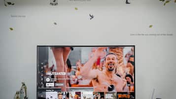 Television