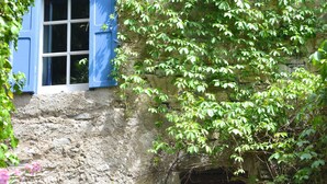 A rustic stone building with a wooden door and a window with blue shutters.
