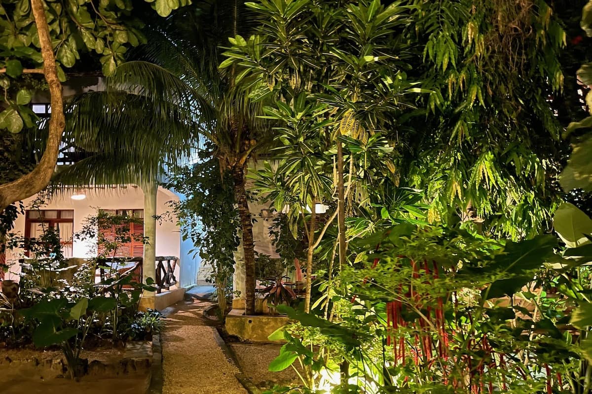 Un jardín exuberante con un sendero que lleva a un edificio.