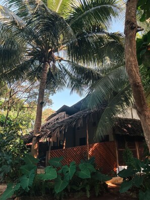 Signature Room | Garden view - Atii Garden Bungalows (Nungwi)