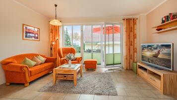 TV, fireplace, DVD player, books