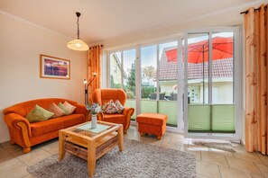 Télévision, cheminée, lecteur de DVD, livres