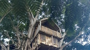 Ein Baumhaus, das in einen großen Baum integriert ist und mehrere Ebenen sowie einen hölzernen Balkon hat.