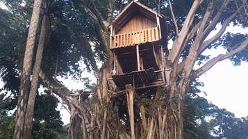 Comfort Tree House