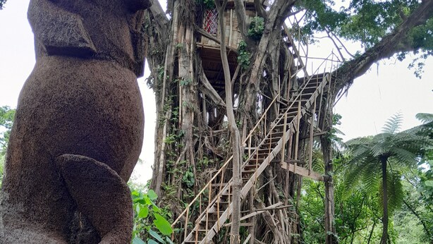 Ein Baumhaus mit einer Holztreppe und einer Seilkletterleiter, umgeben von üppigem Grün.