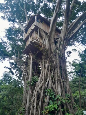 Living area - Glowing Mountain view tree house  (Tanna Island)