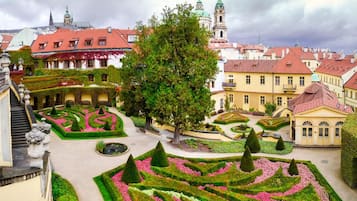 Terrain de l’hébergement