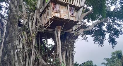 Glowing Mountain view tree house