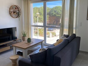 TV
