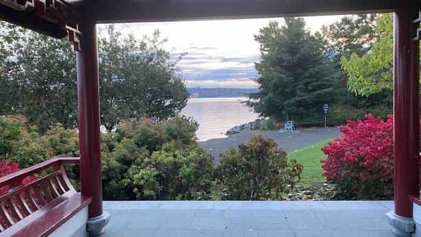 A covered outdoor area with a view of a body of water, surrounded by greenery and a bench. - Walk to the waterfront! The Cozy Cottag (Tacoma)