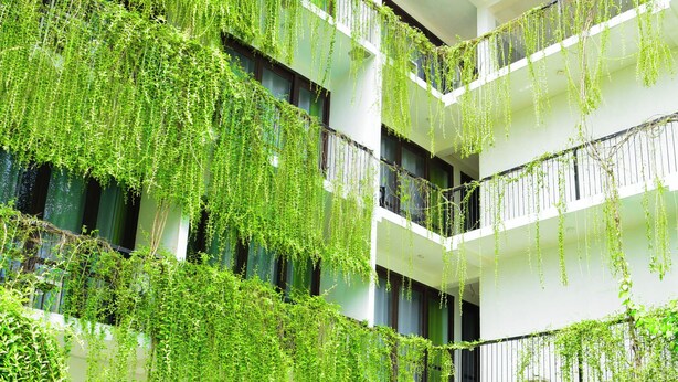 Une piscine à l’eau d’un bleu cristallin, entourée de murs blancs et de balcons ornés de plantes retombantes.