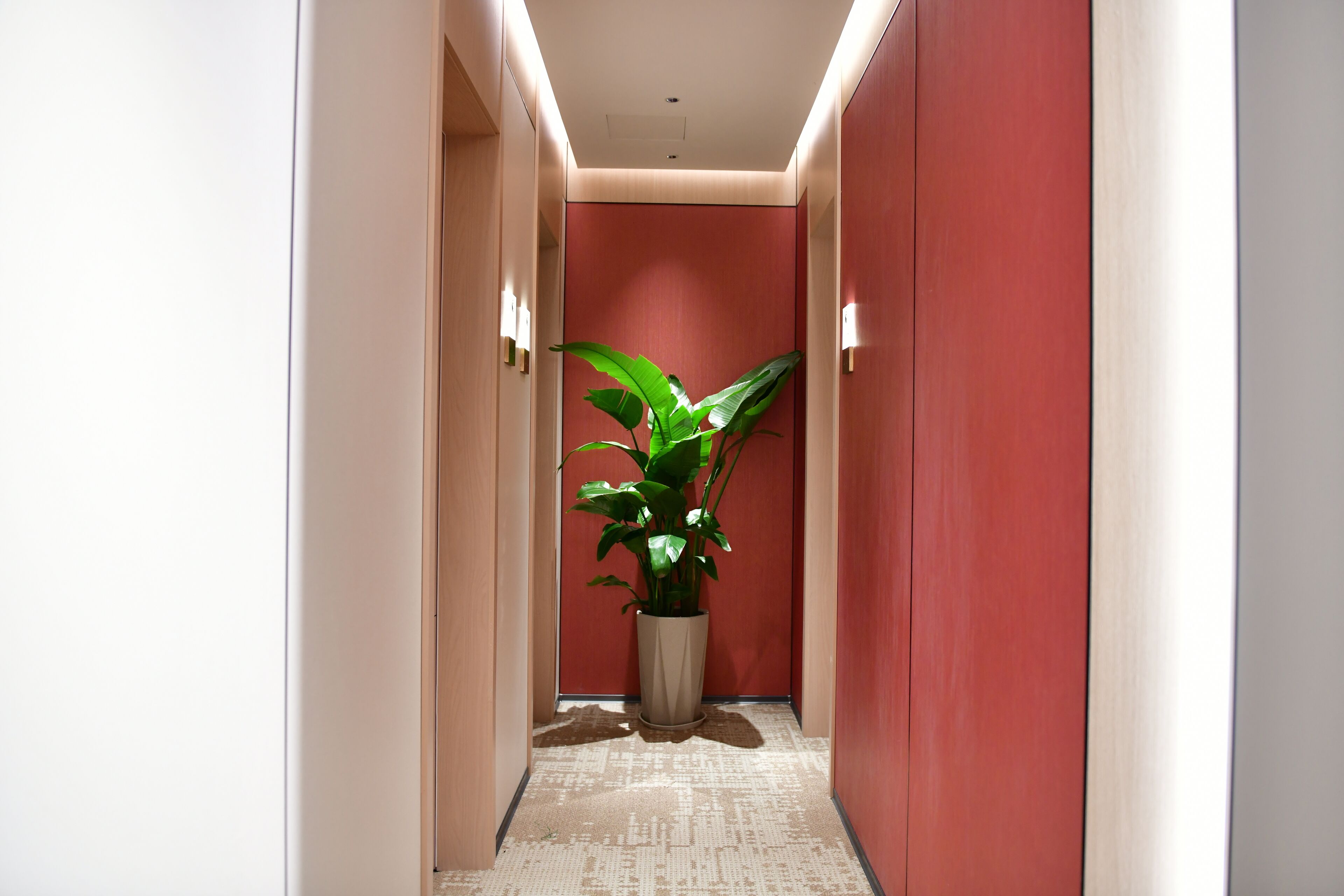 Photo - Xishu Garden Inn 熙蜀酒店