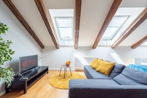 TV, offices - Spacious apartment near the old town (Prague)