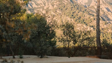 Exterieur