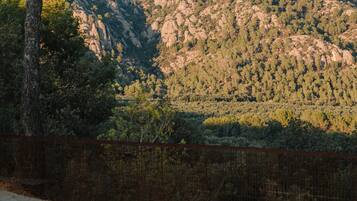 A pool with a mountain backdrop, surrounded by trees and a fence.