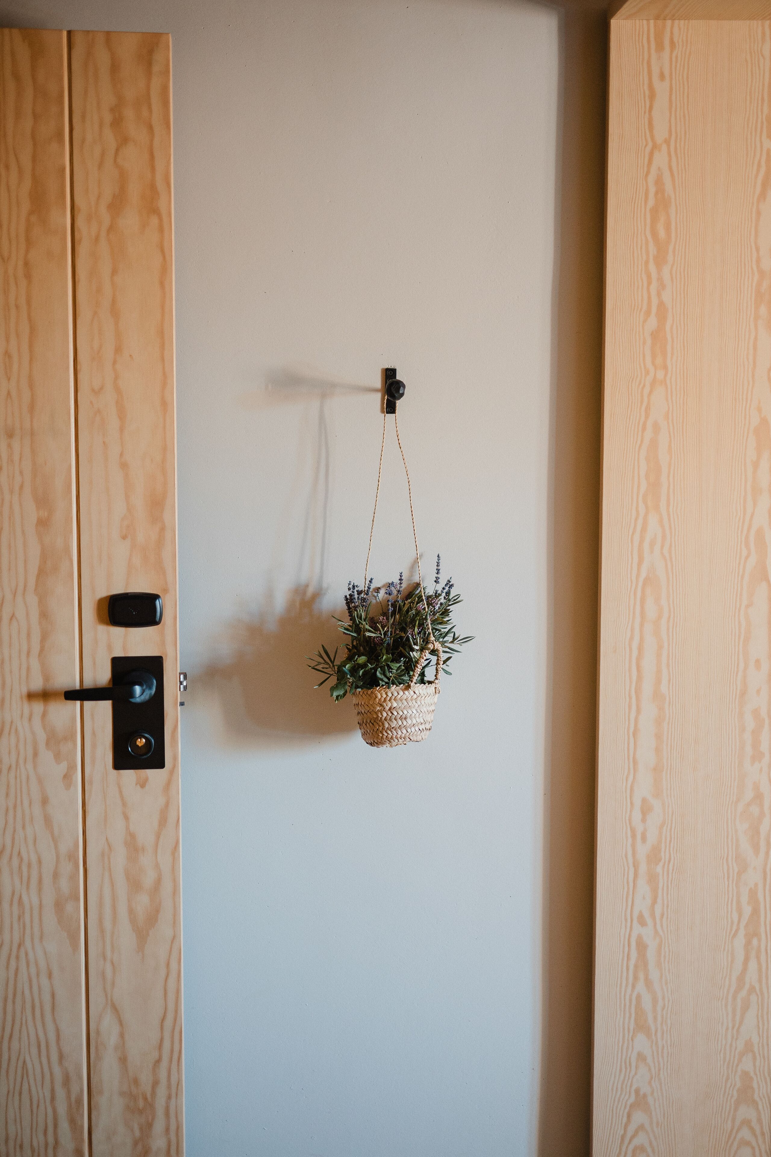 Una puerta de madera con un ojo de cerradura y una cerradura, una planta colgante pequeña y un interruptor de luz en la pared.