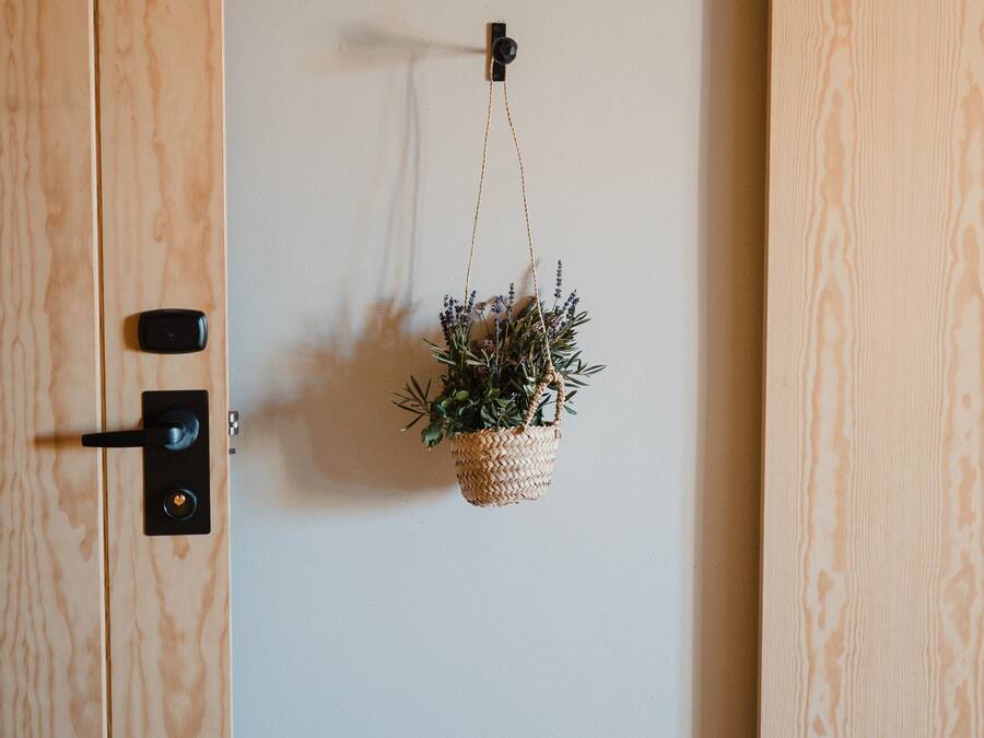 Una puerta de madera con un ojo de cerradura y una cerradura, una planta colgante pequeña y un interruptor de luz en la pared.