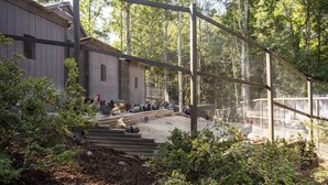 Property grounds - Tiny Cabin Summary:<br>I (Mill Spring)