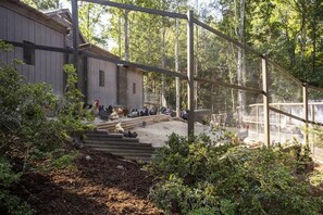 Terrein van de accommodatie