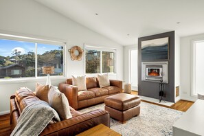 TV, fireplace, table tennis