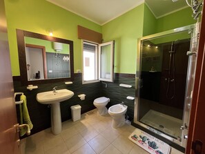 Shower, hair dryer, bidet