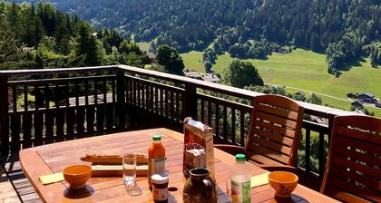 Beau chalet familial 10 personnes - grande terrasse exposée plein sud !