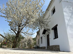 Exterior - Casa Rural Sierra Segura (Segura de la Sierra)