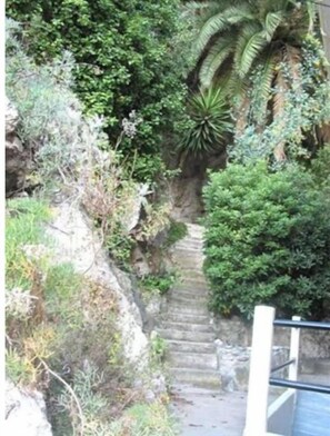 Stroll down this serene stone staircase surrounded by lush greenery and plants.