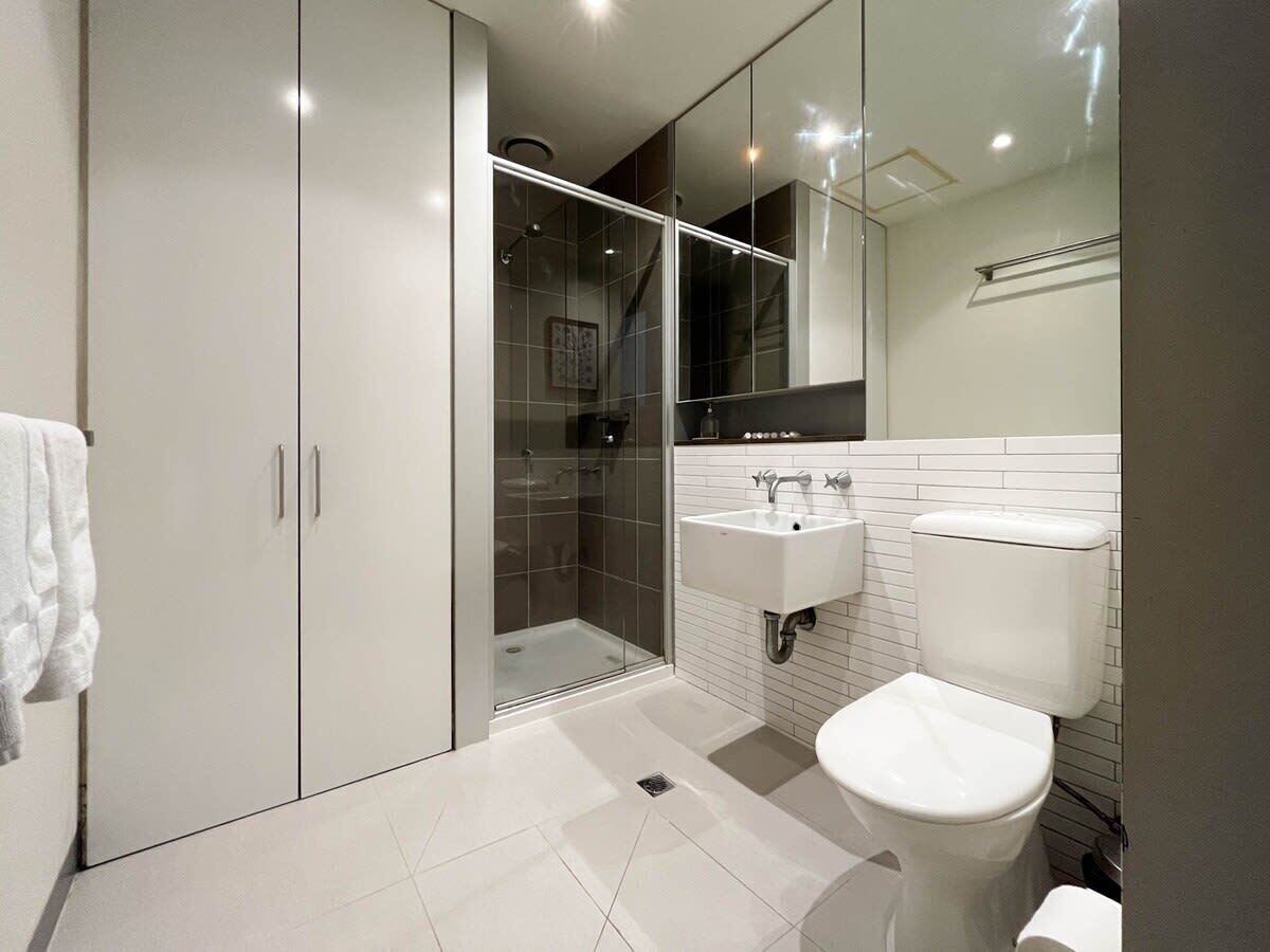 Shower, hair dryer
