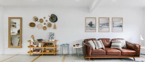 Télévision, cheminée, lecteur de DVD, livres