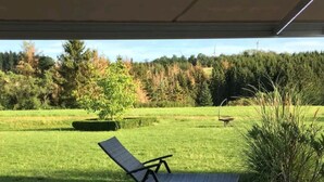 Un porche cubierto con una silla de descanso y una silla de mimbre, una planta en maceta y vistas a un campo cubierto de césped con árboles.