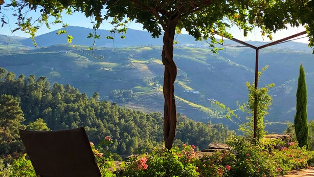Une terrasse offrant une vue sur des champs en terrasses et une chaîne de montagnes lointaine.