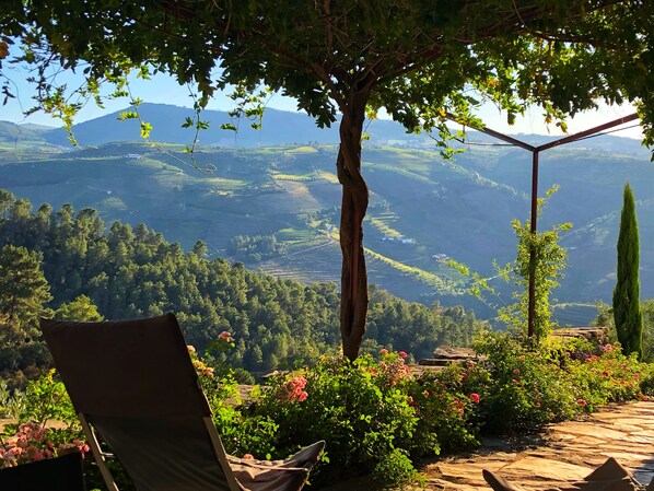 Property grounds - No Coração do Douro, Entre o Pinhão e Favaios, um Espaço de paz e Serenidade (Favaios)