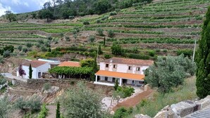 Un paysage rural caractérisé par des champs en terrasses et des maisons traditionnelles en pierre, surmontées de toits en tuiles.