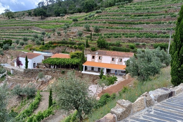 A Quinta da Salgueira