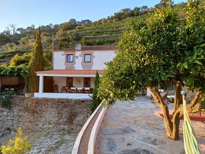 A stone pathway leading to a white building with a red-tiled roof, surrounded by greenery and trees. - No Coração do Douro, Entre o Pinhão e Favaios, um Espaço de paz e Serenidade (Favaios)