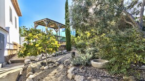 Un jardín con un pérgola, diversas plantas y un camino de piedra.