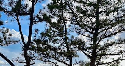 Explore all Colorado and Carter Lake have to offer! Relax and take in the view.